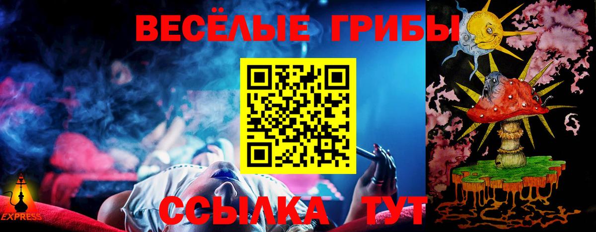 Псилоцибиновые грибы GOLDEN TEACHER Ульяновск