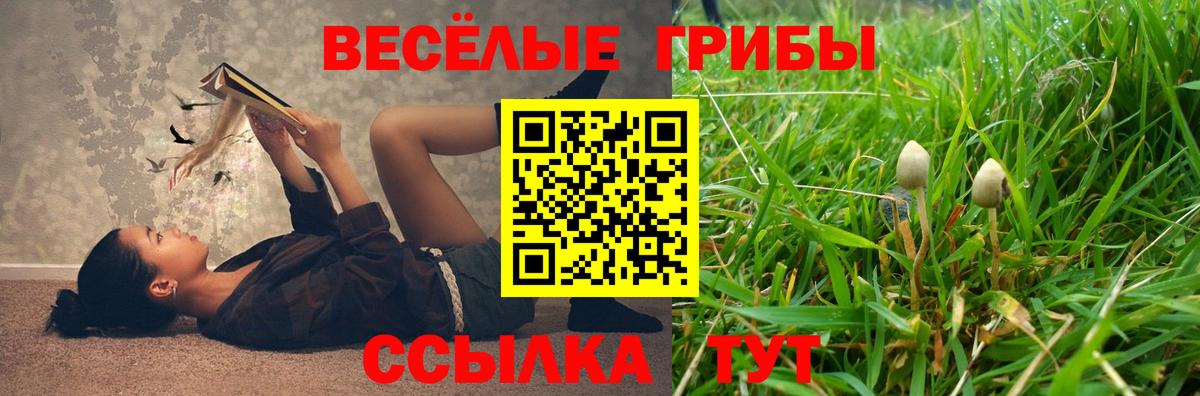Ульяновск  Галлюциногенные грибы GOLDEN TEACHER  Вход с VPN 